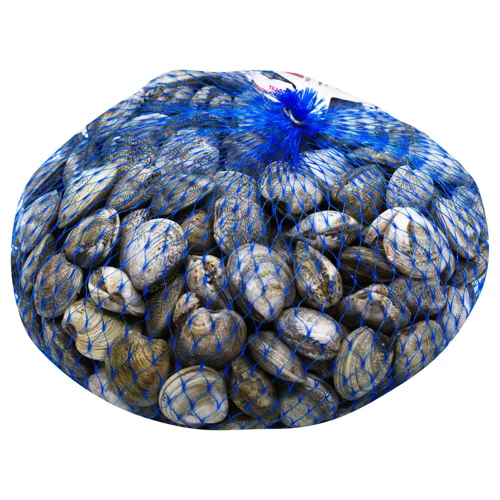 Вонголе Венус смугастий живий