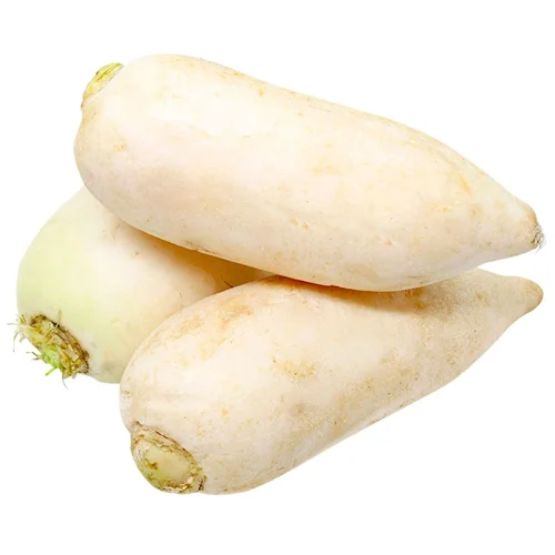 Редька біла