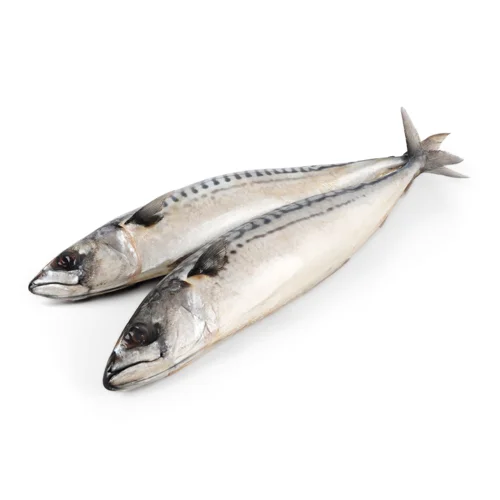 Скумбрія Напівкопчена Iceberg, з/г, 1 кг