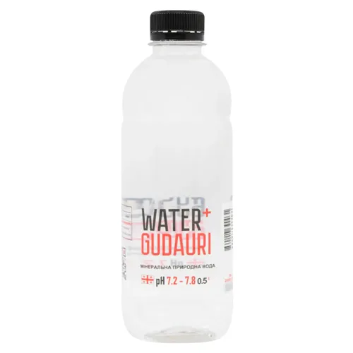 Вода Water+Gudauri мінеральна негазована 0,5л