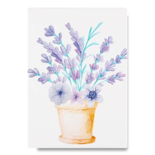 Кишенькове Металеве Дзеркало 6х8.5см №1436329 Greenwich Products Co. Limited 1шт