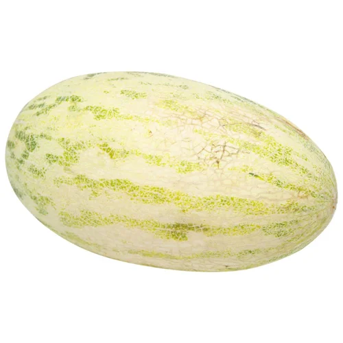 Диня узбецька