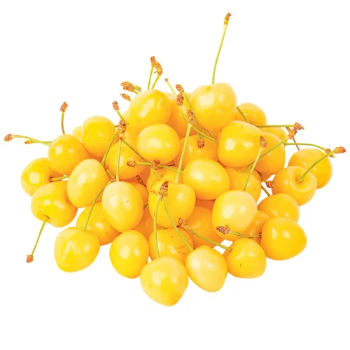 Черешня біла