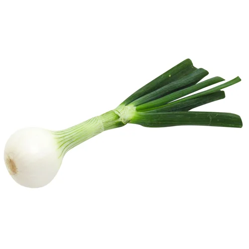 Цибуля молода Україна