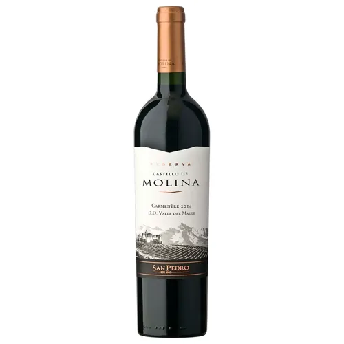 Вино Castillo De Molina Carmenere червоне сухе 0,75л