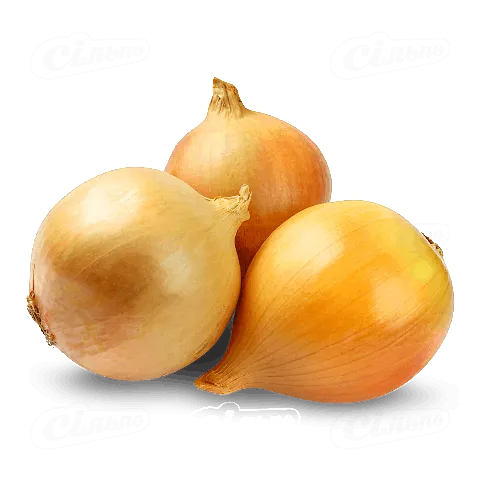 Цибуля ріпчаста відбірна, кг