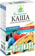 Каша вівсяна Терра з вершками та лісовими ягодами миттєвого приготування 190г