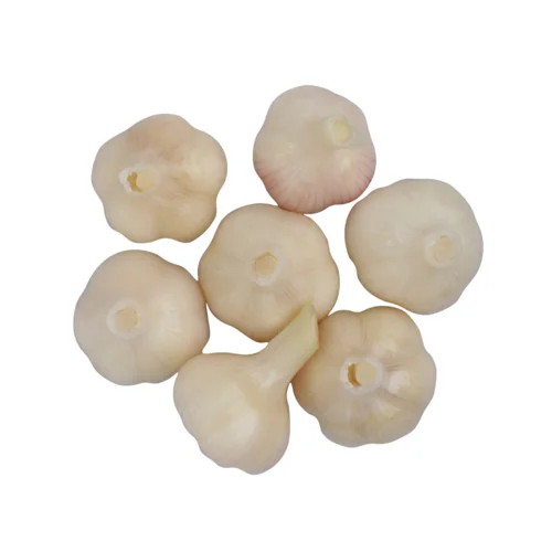 Часник Солоний Вищого Ґатунку Ніжинський Консервний Завод, п/у 5 кг