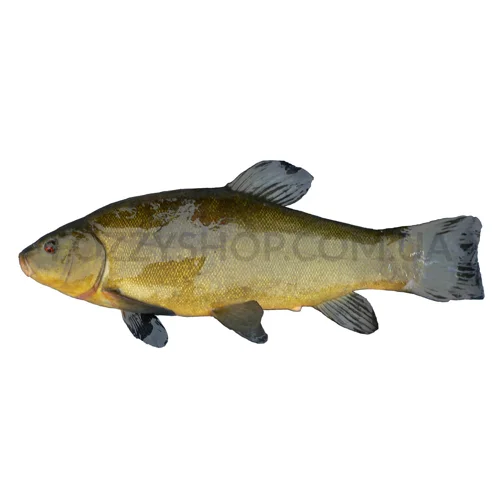 Лин патраний охолоджений,кг