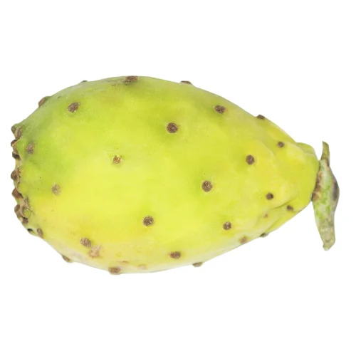 Плід кактусу, шт