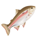 Свіжа та заморожена риба