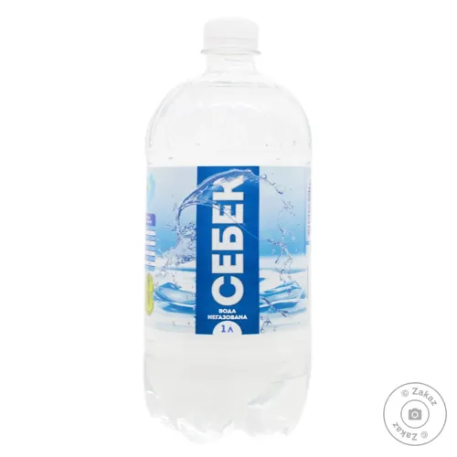 Вода Себек негазована 1л
