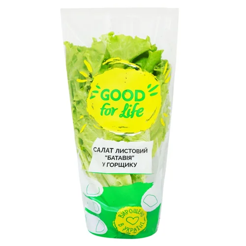 Салат Good for Life Батавія листовий 150г