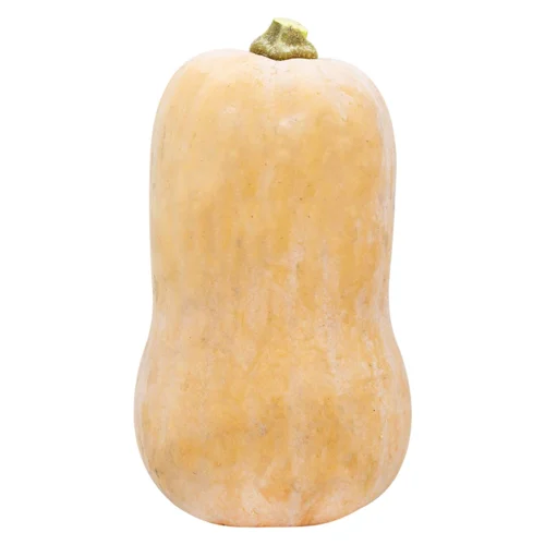 Гарбуз Баттернат