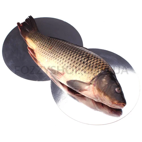Короп охолоджений 1+,кг