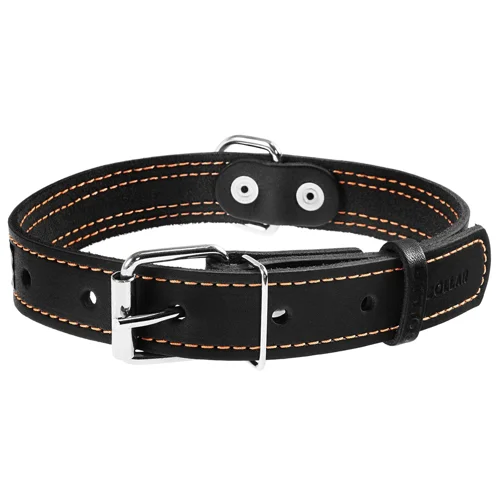 Нашийник для собак Collar шкіряний 38-50см/25мм чорний