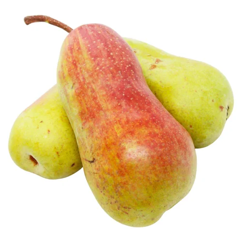 Груша Українська