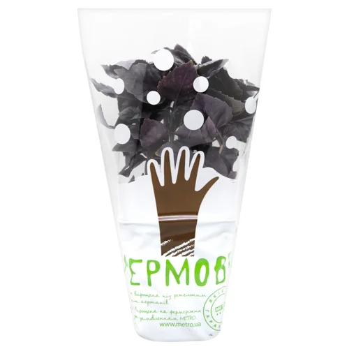 Базилік червоний Фермове в горщику 200г