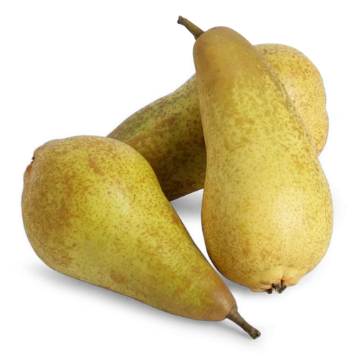 Груша Коник Аббат Феттель