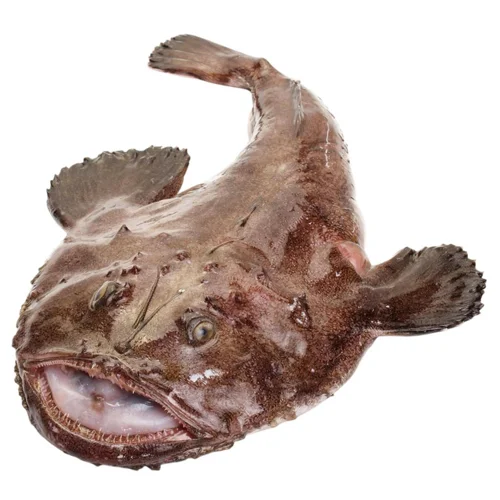Морський чорт