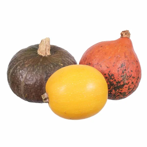 Гарбуз другий гатунок