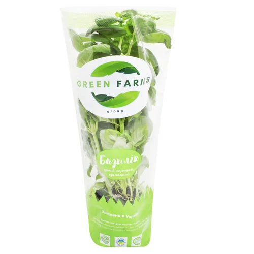 Базилік Green Farms зелений з коренем у торфі, шт