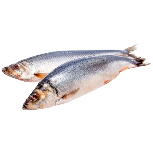 Оселедець слабосолоний