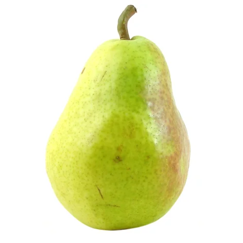 Груша Бера