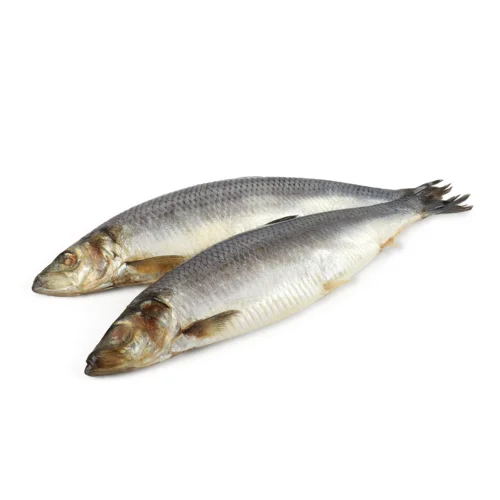 Оселедець Солоний Вищого Ґатунку, 300+ Iceberg, кг