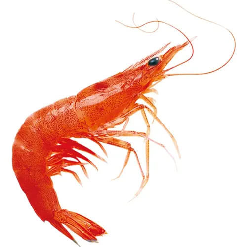 Креветка глибоководна сиро-морожена, 15% глазур, вагова