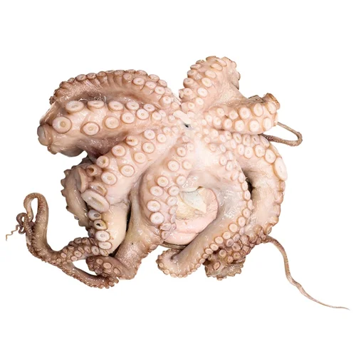 Восьминіг охолоджений 800/1500г