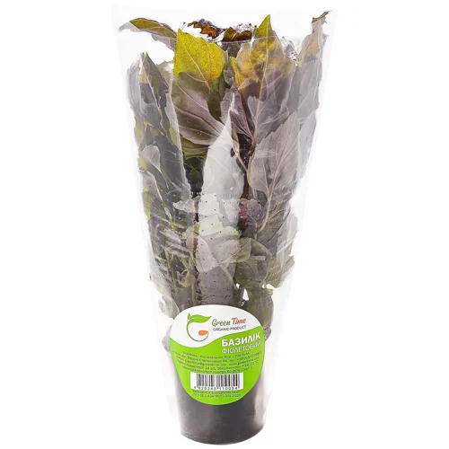 Базилік Green Time фіолетовий в горщику 100г
