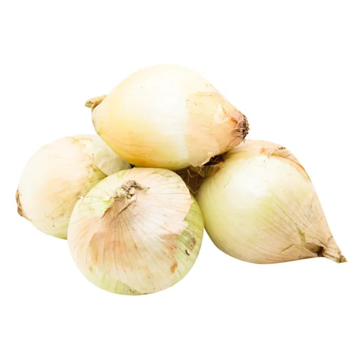 Цибуля ріпчаста молода