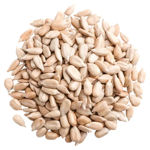 Ядро соняшника