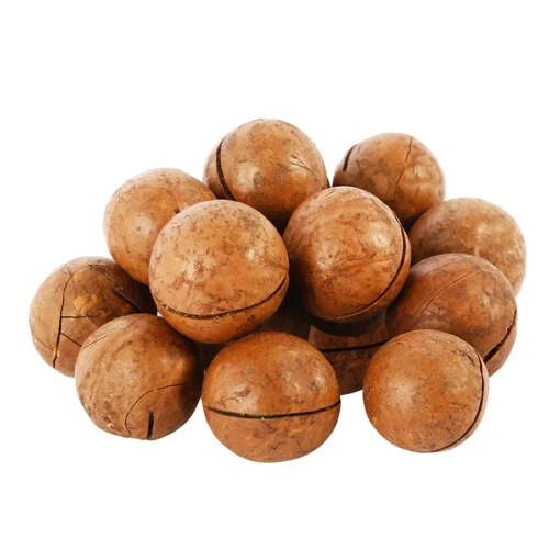 Горіх Макадамія