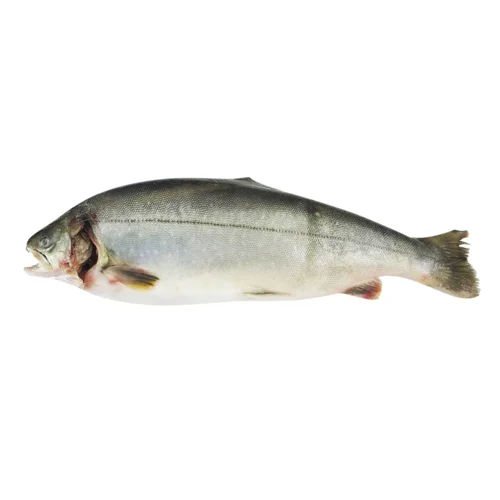 Голець арктичний охолоджений