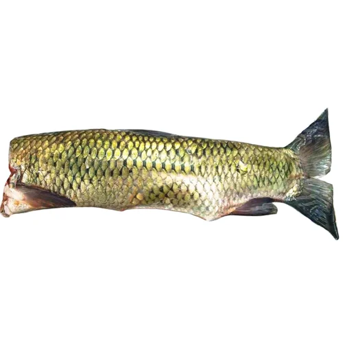 Білий амур тушка без голови