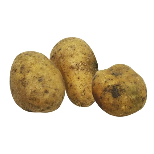 Картопля 2 категорії